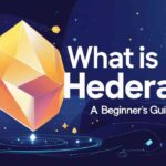 Visualization of Hedera Hashgraph technology for beginners.